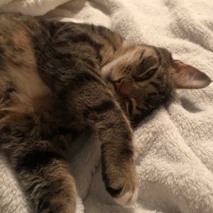 Meet your Posher, Natalia